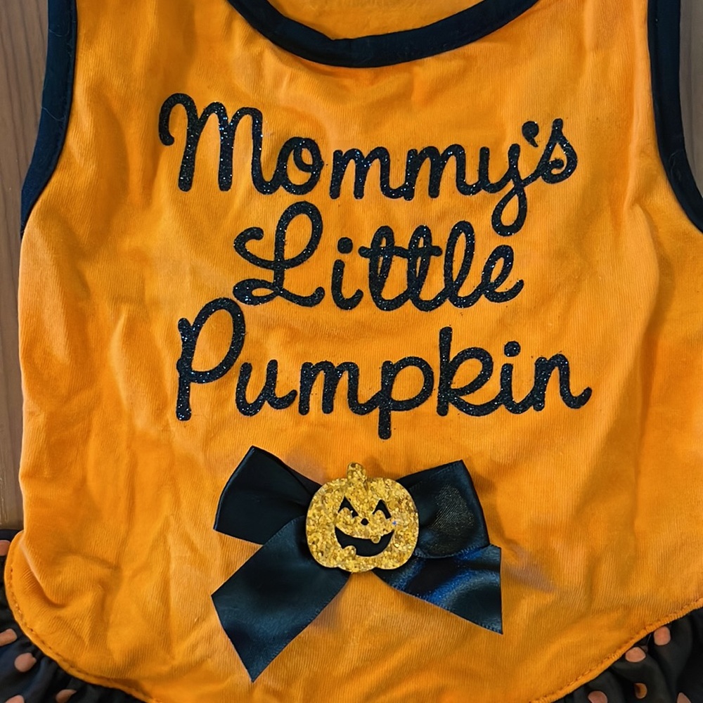 Mommy’s Little Pumpkin Dog Halloween Costume ~ Large - Picture 2 of 9